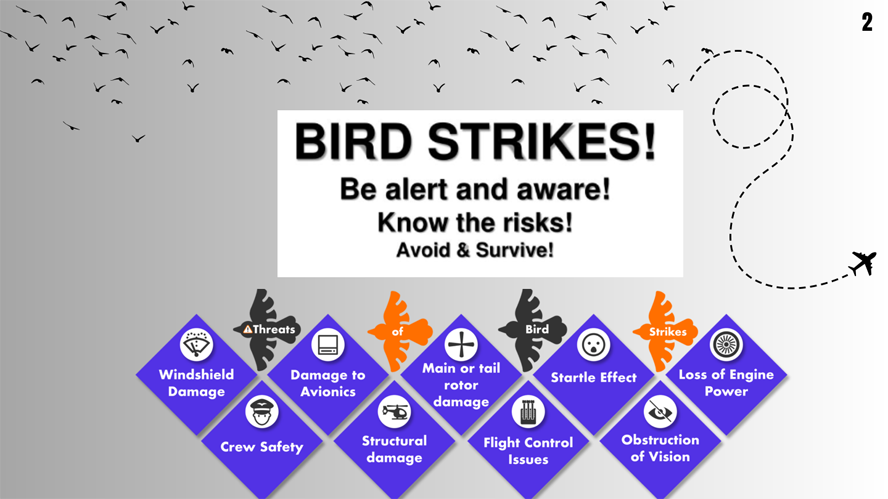 Safety Guideline